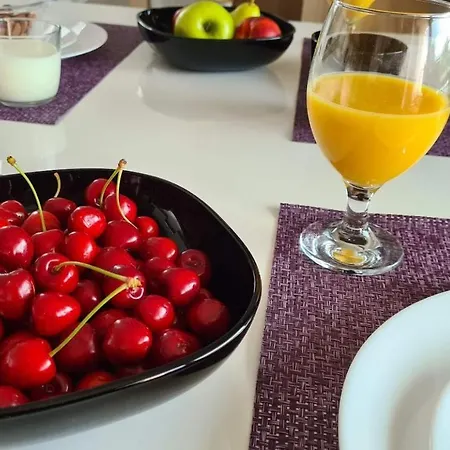 Primorka Oleander * Šilo