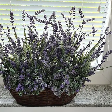 Primorka Oleander Appartement