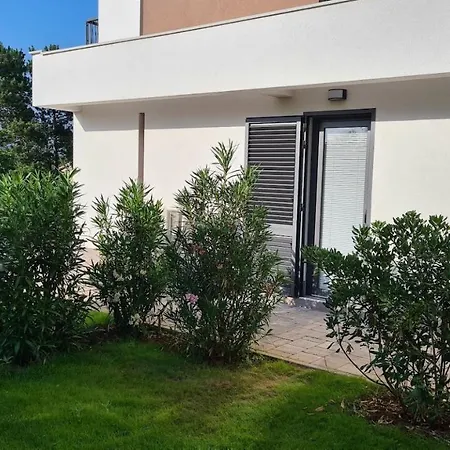 Primorka Oleander * 실로