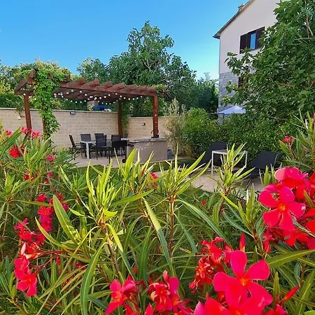 Primorka Oleander * 실로