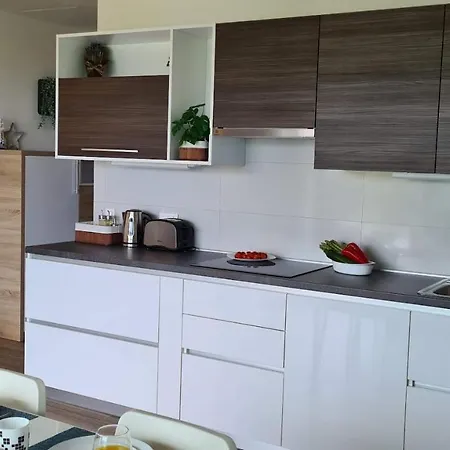 Primorka Oleander 실로