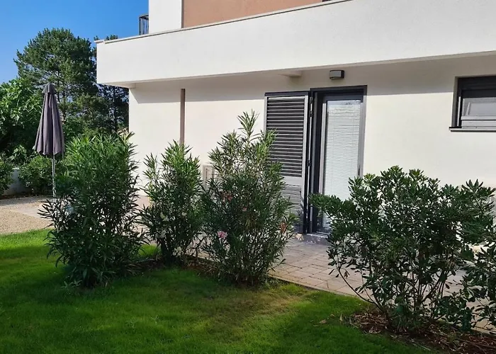 Primorka Oleander * Šilo