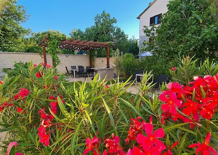 Primorka Oleander * Šilo