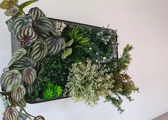 Primorka Oleander Šilo